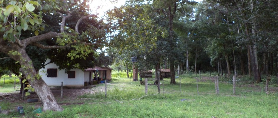 Formoso to 290